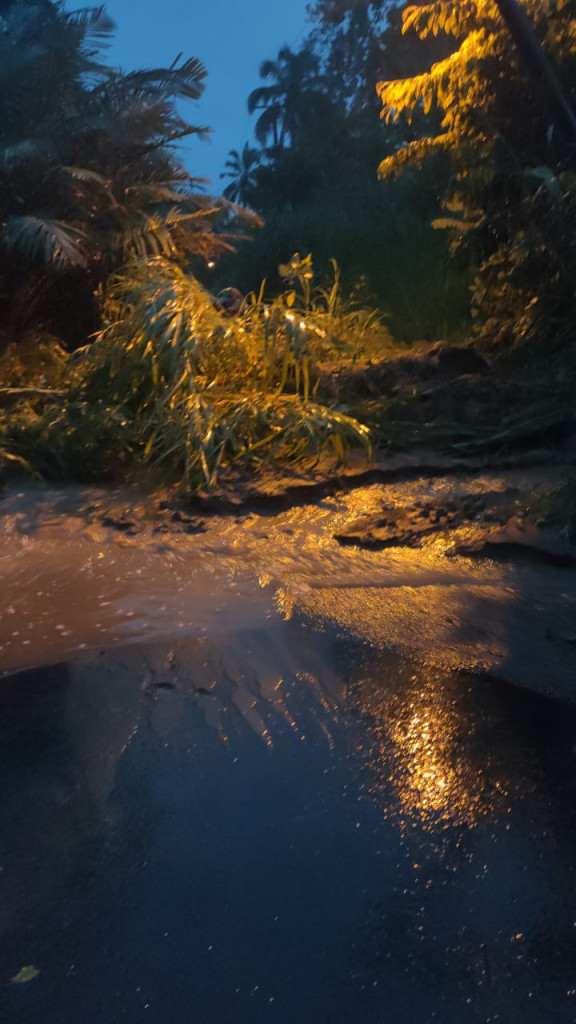 Tanah Longsor di Banjar Abing, Desa Sulangai, Kecamatan Petang Tanggal 01 April 2024